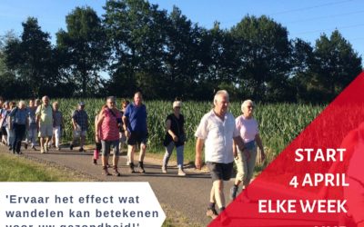 Wandelen met de Gezond Veluwe Challenge