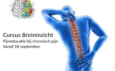Last van chronisch pijn? Schrijf je in voor de cursus Breininzicht