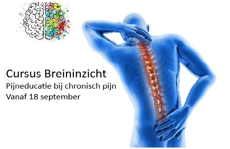 Last van chronisch pijn? Schrijf je in voor de cursus Breininzicht